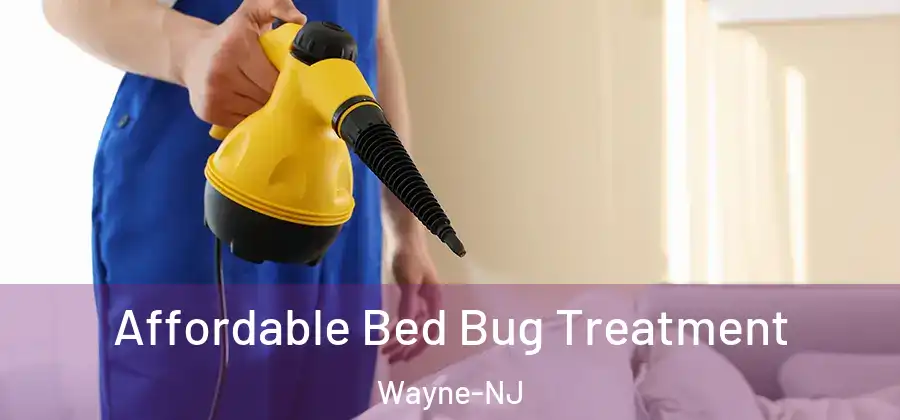 Affordable Bed Bug Treatment Wayne-NJ