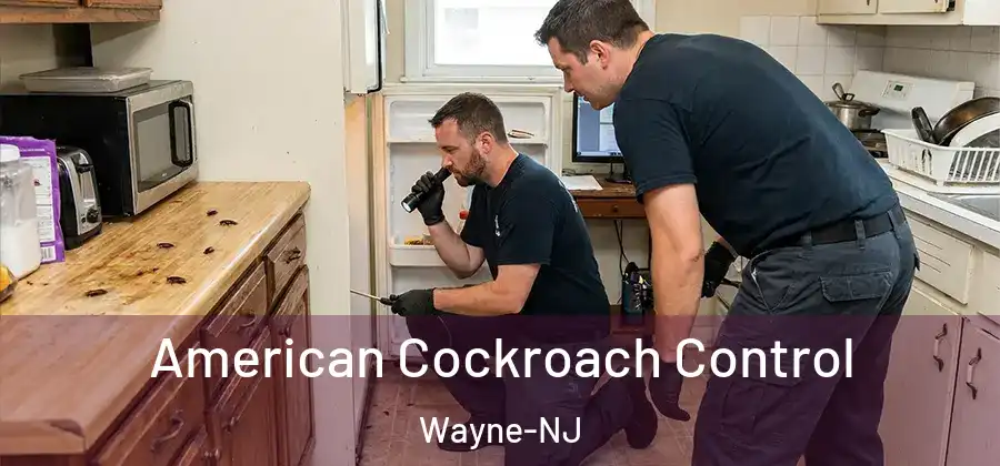 American Cockroach Control Wayne-NJ