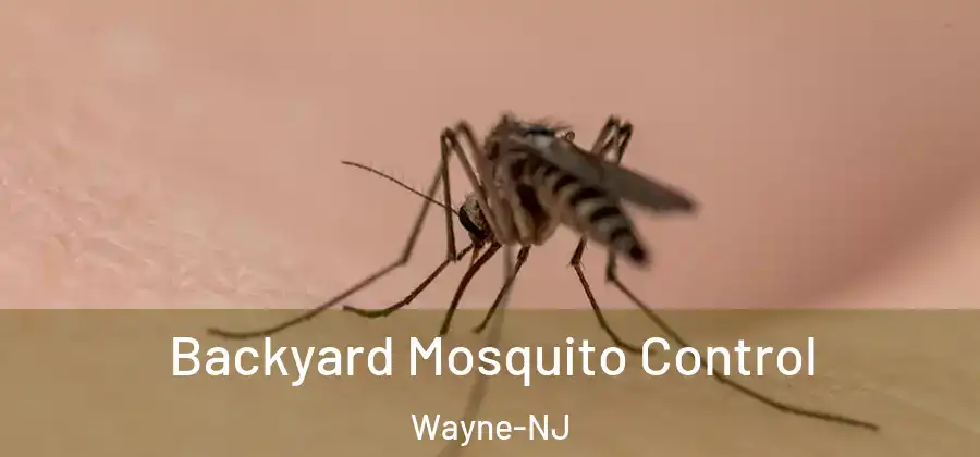 Backyard Mosquito Control Wayne-NJ