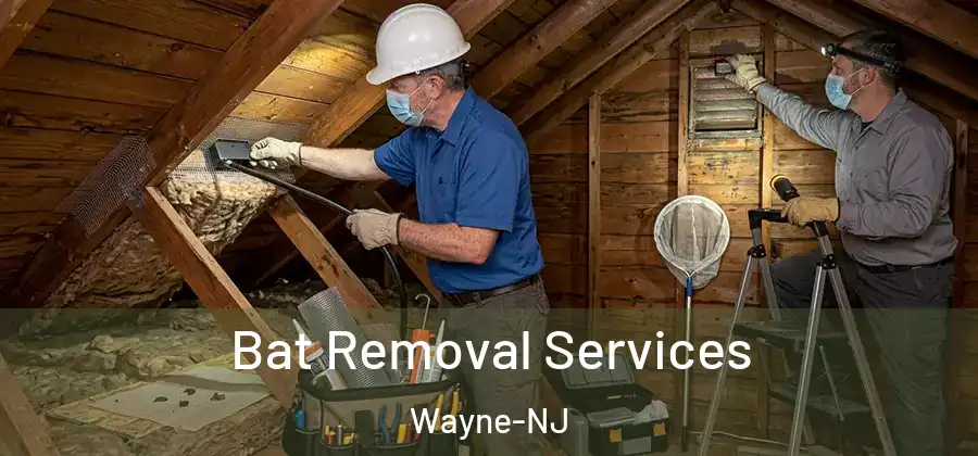 Bat Removal Services Wayne-NJ