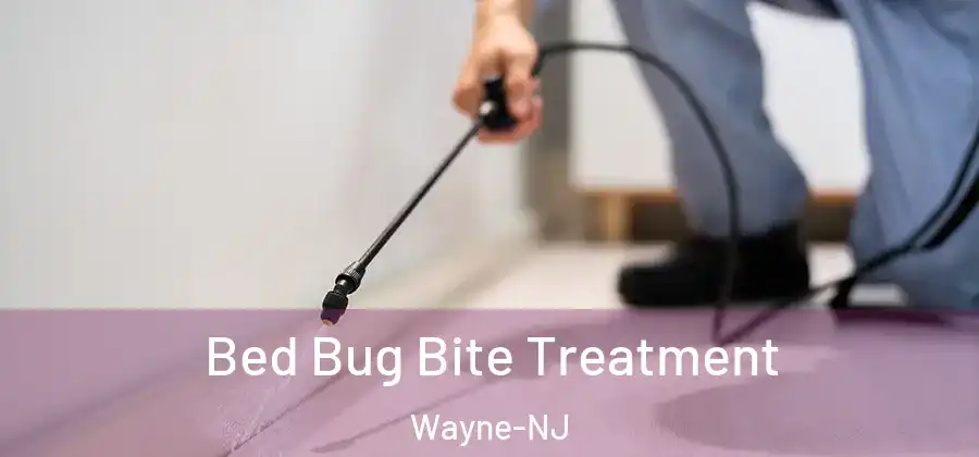 Bed Bug Bite Treatment Wayne-NJ