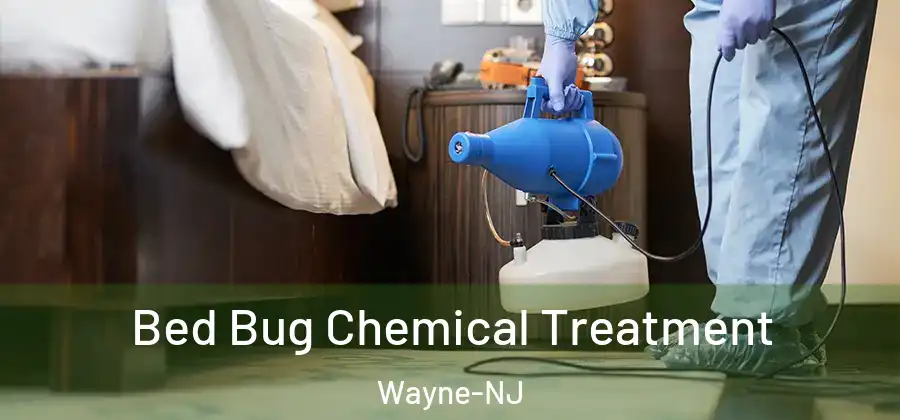 Bed Bug Chemical Treatment Wayne-NJ