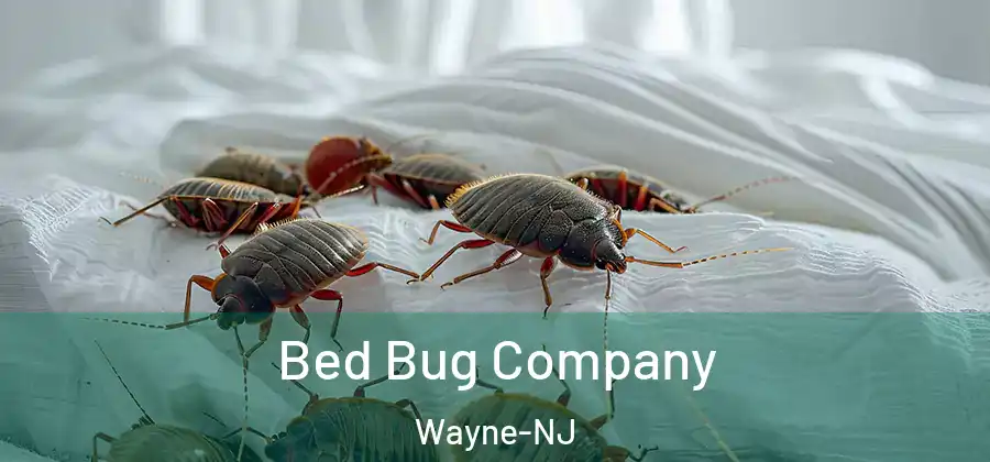 Bed Bug Company Wayne-NJ