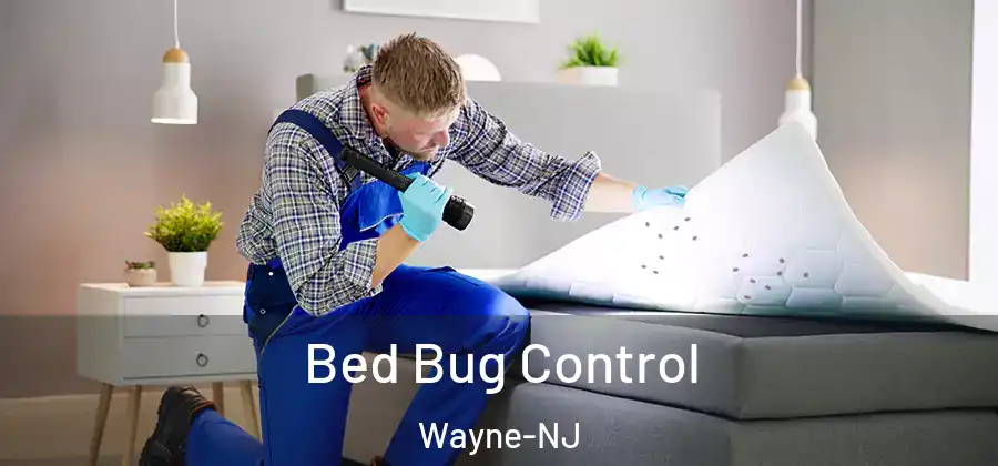 Bed Bug Control Wayne-NJ