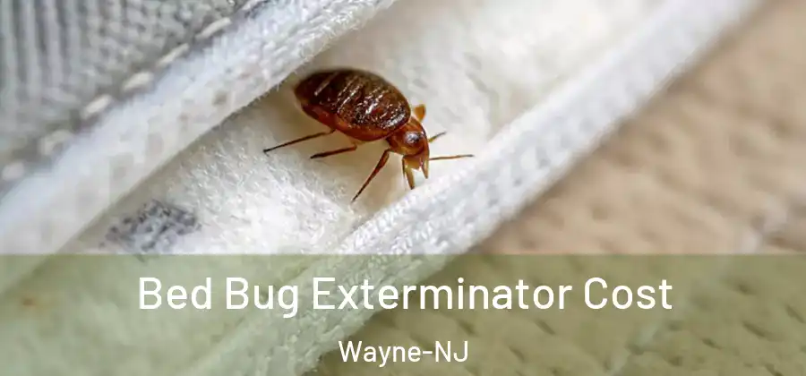 Bed Bug Exterminator Cost Wayne-NJ
