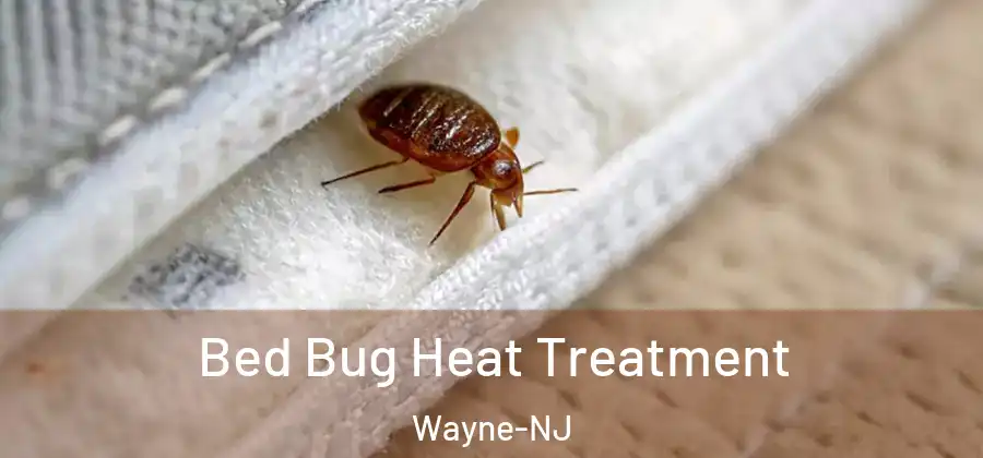 Bed Bug Heat Treatment Wayne-NJ
