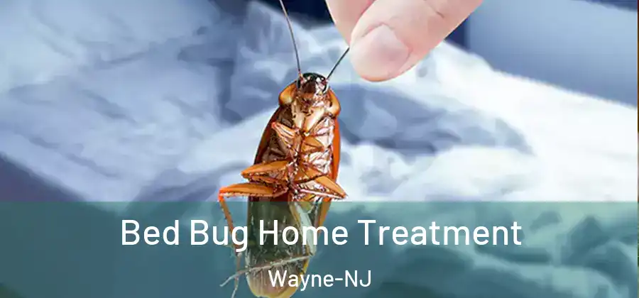 Bed Bug Home Treatment Wayne-NJ