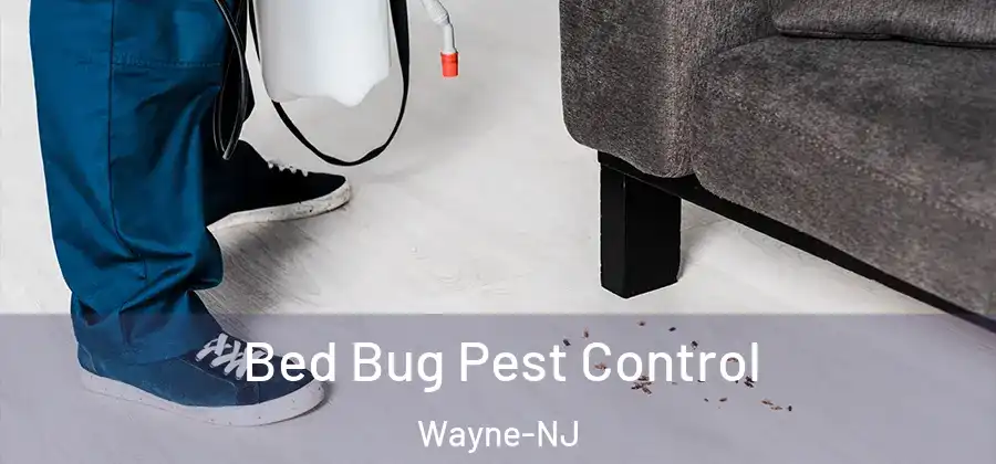  Bed Bug Pest Control Wayne-NJ