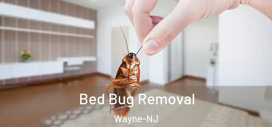 Bed Bug Removal Wayne-NJ