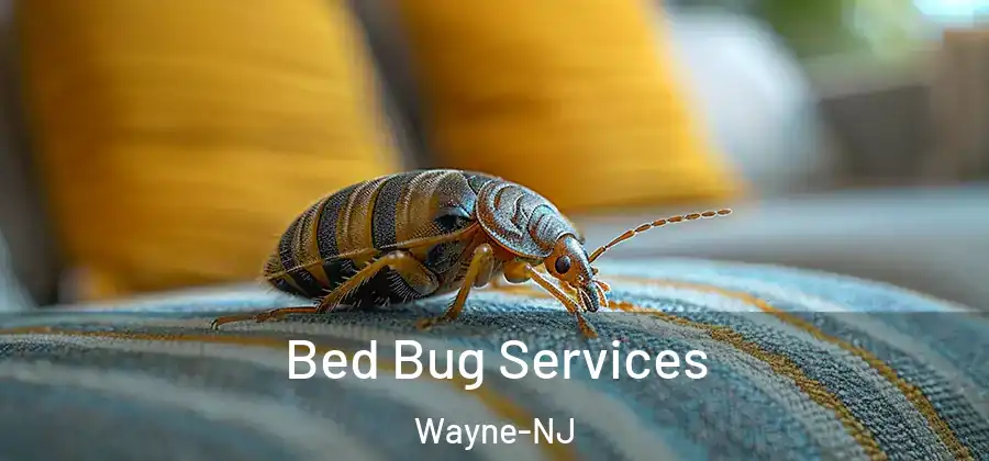 Bed Bug Services Wayne-NJ
