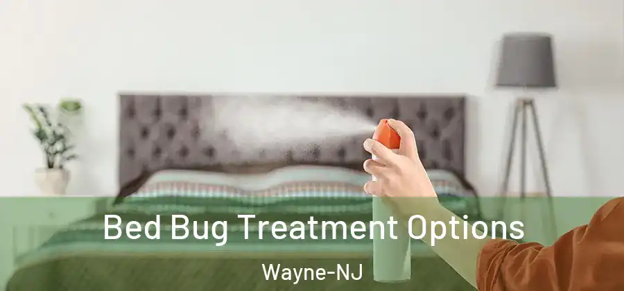 Bed Bug Treatment Options Wayne-NJ