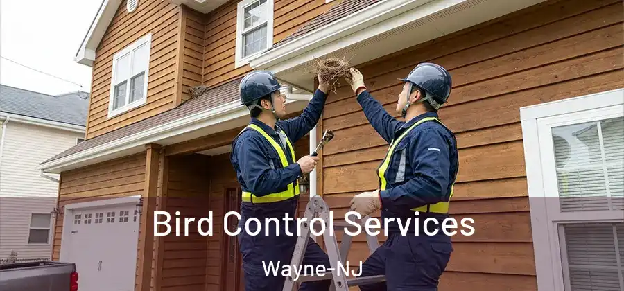 Bird Control Services Wayne-NJ