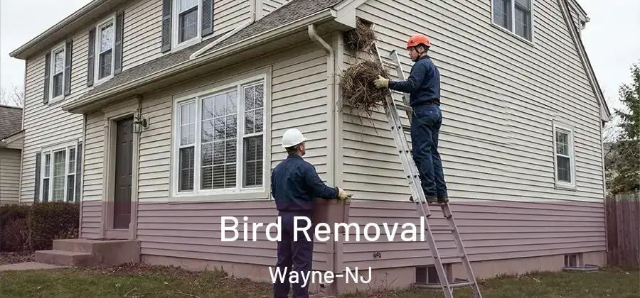  Bird Removal Wayne-NJ
