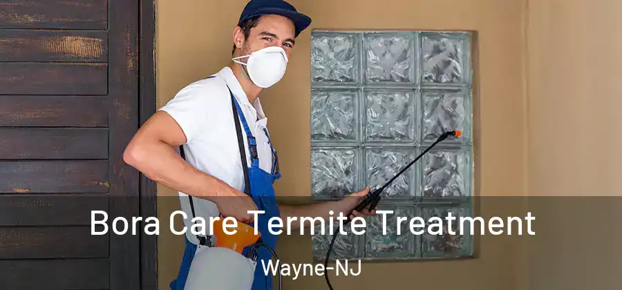 Bora Care Termite Treatment Wayne-NJ