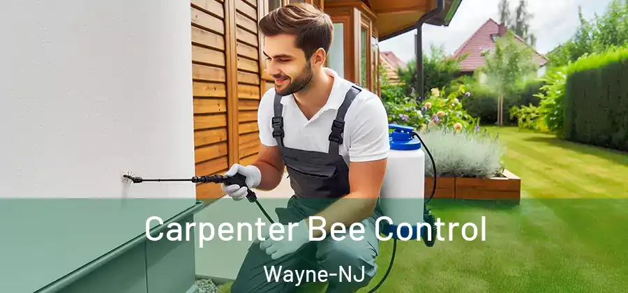 Carpenter Bee Control Wayne-NJ