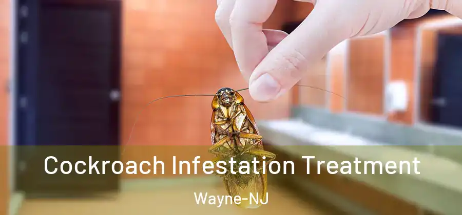 Cockroach Infestation Treatment Wayne-NJ