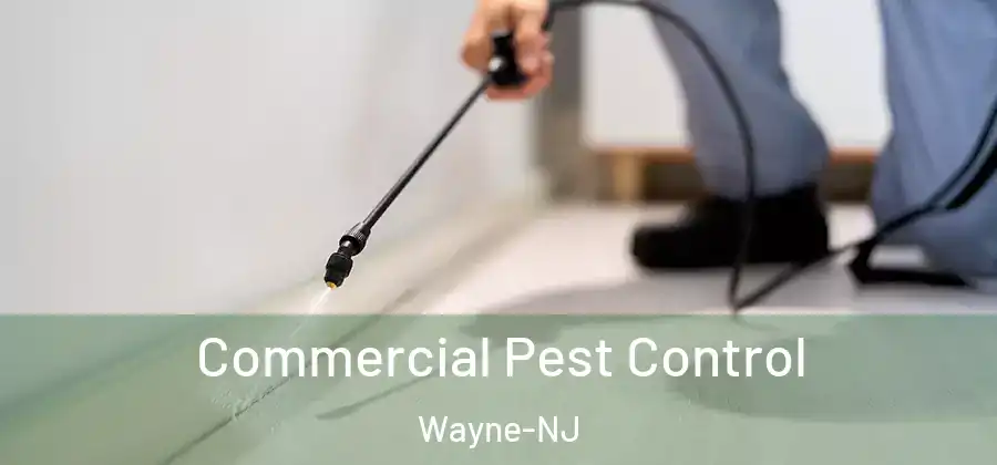 Commercial Pest Control Wayne-NJ