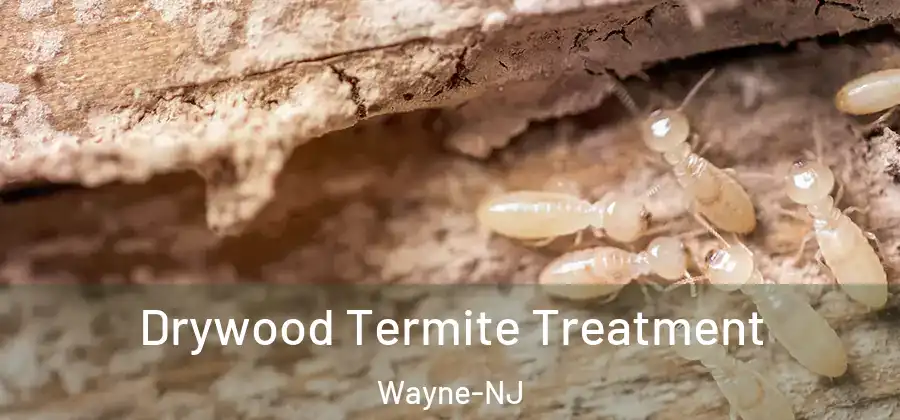  Drywood Termite Treatment Wayne-NJ