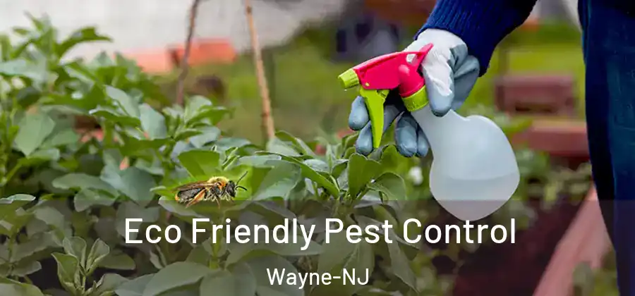  Eco Friendly Pest Control Wayne-NJ