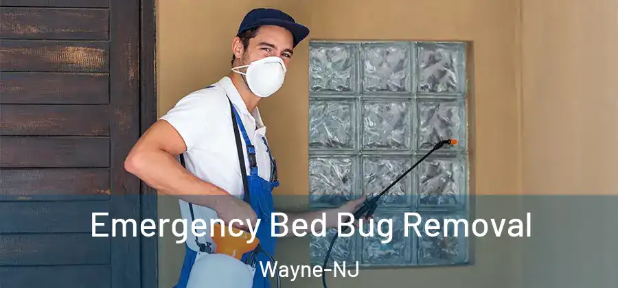  Emergency Bed Bug Removal Wayne-NJ
