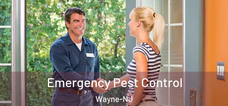 Emergency Pest Control Wayne-NJ