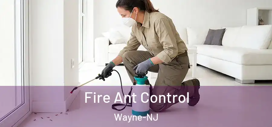 Fire Ant Control Wayne-NJ