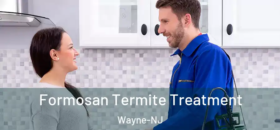 Formosan Termite Treatment Wayne-NJ