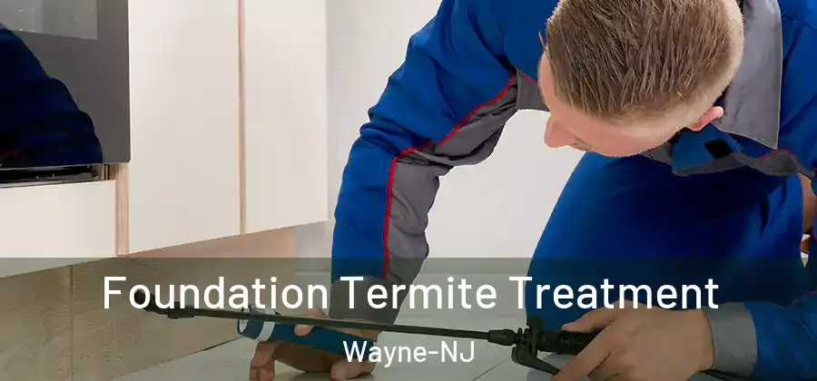 Foundation Termite Treatment Wayne-NJ