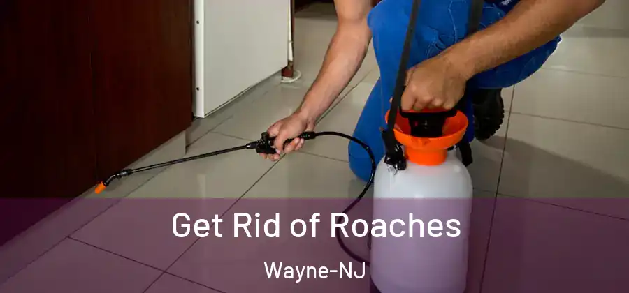 Get Rid of Roaches Wayne-NJ
