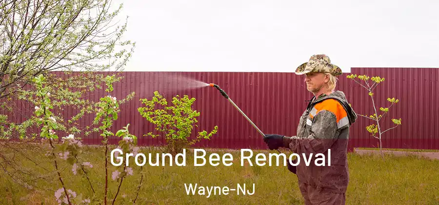 Ground Bee Removal Wayne-NJ