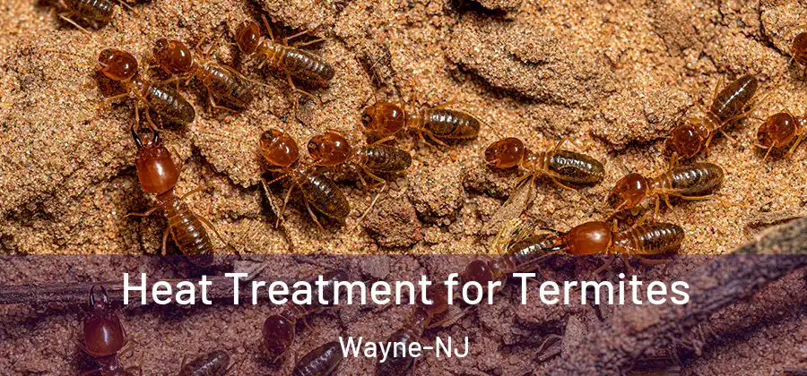  Heat Treatment for Termites Wayne-NJ