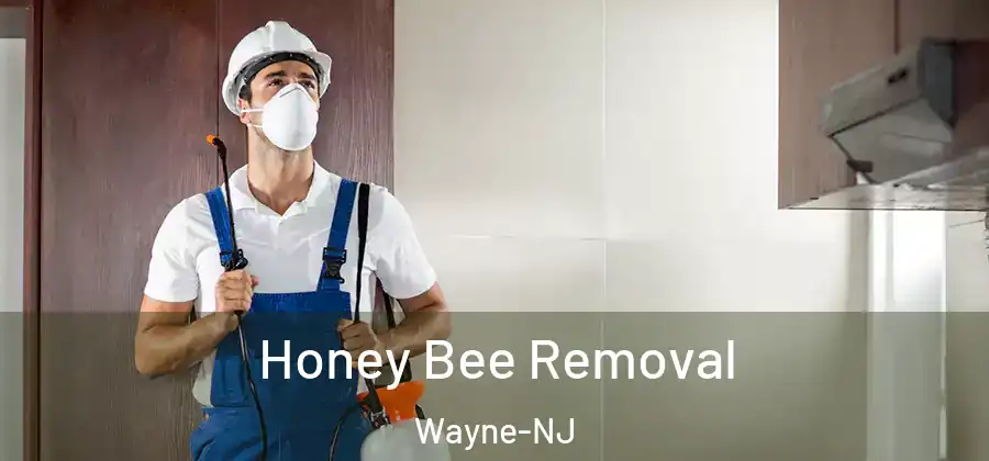 Honey Bee Removal Wayne-NJ