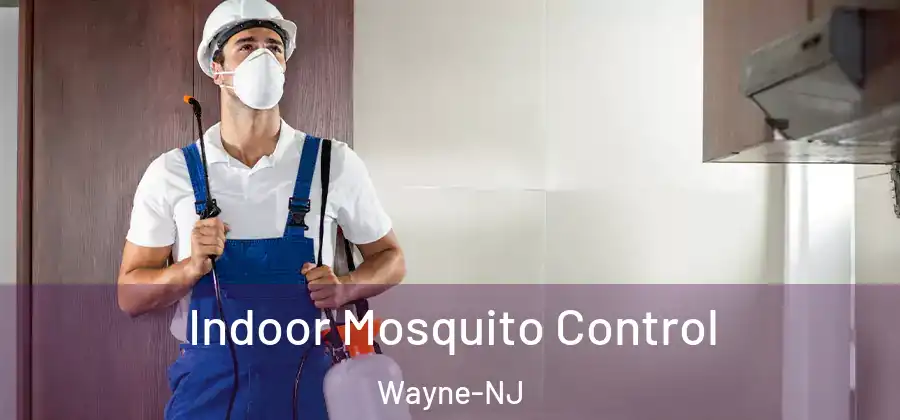 Indoor Mosquito Control Wayne-NJ