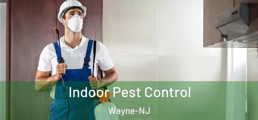 Indoor Pest Control Wayne-NJ