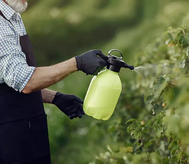 Your Proven Mosquito Treatment Company in Wayne, NJ