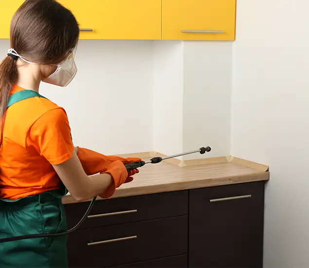 Trusted Bed Bug Pest Control Specialist in Wayne, NJ