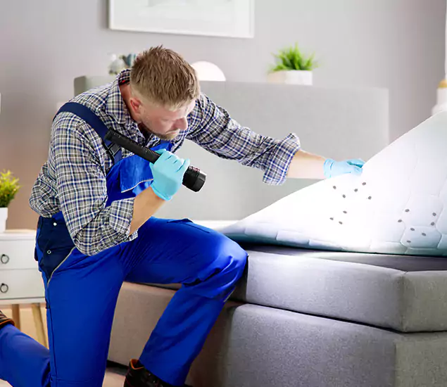 Trusted Bed Bug Remediation Experts in Wayne, NJ