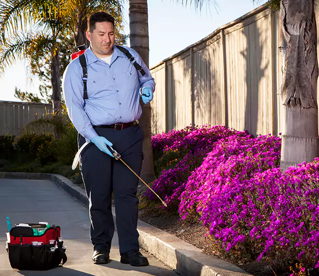 About Our Eco Safe Pest Control Experts in Wayne, NJ