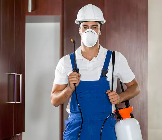 Trusted Exterminator and Pest Exterminator Professionals in Wayne, NJ