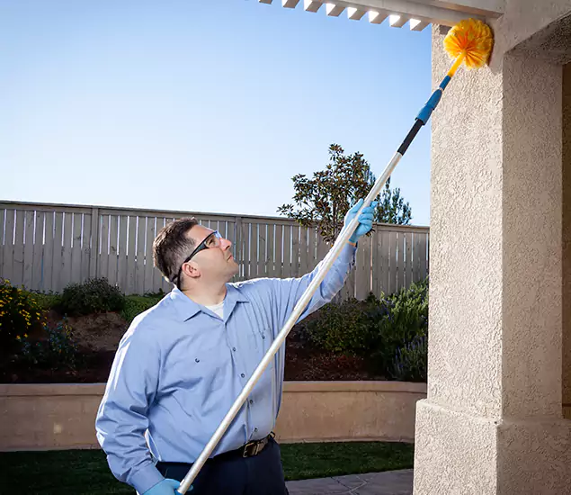 Trusted Experts in Wayne NJ for Formosan Termite Treatment and Black Termite Control