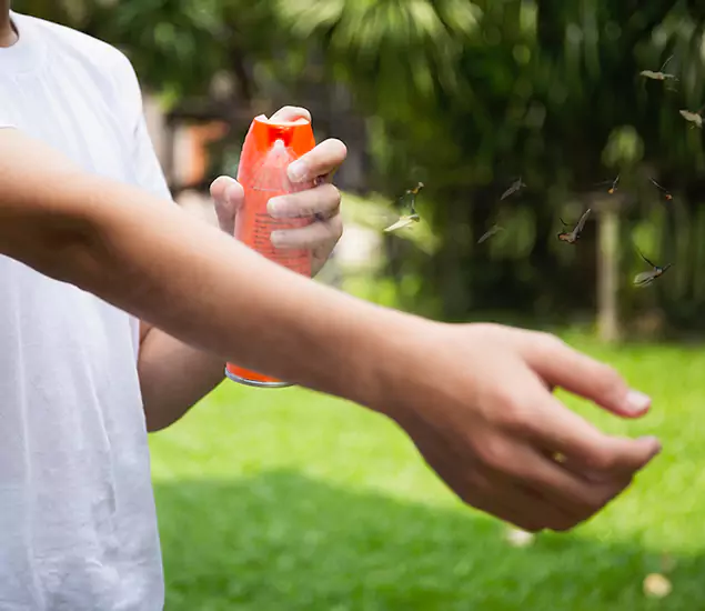 Your Best Indoor Bug Killer Team in Wayne, NJ