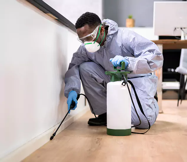 Leading Industrial Pest Control Experts Serving Wayne, NJ
