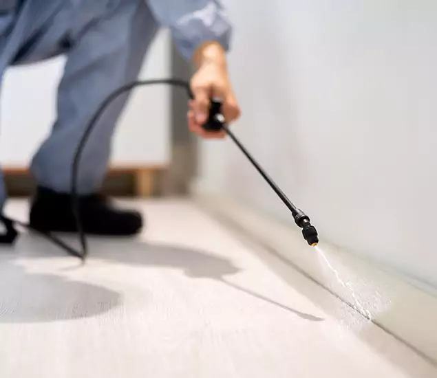 About Our Liquid Termite Treatment Experts in Wayne, NJ