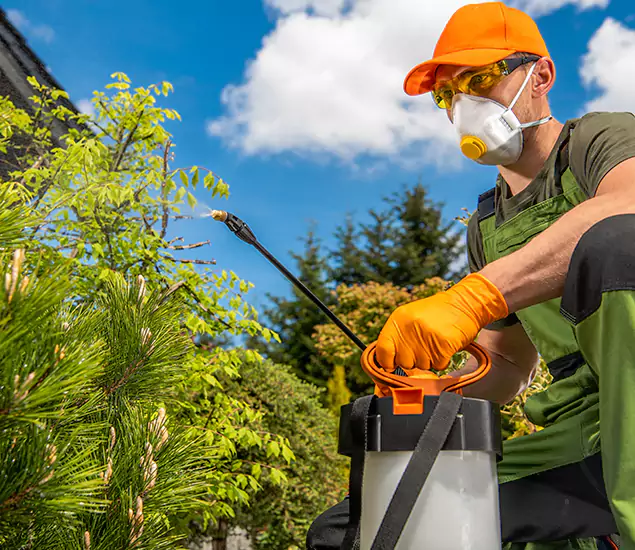 Reliable Mosquito Pest Control Services: Your Proven Mosquito Specialist in Wayne, NJ