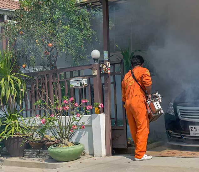Your Proven Mosquito Fogging Company in Wayne, NJ