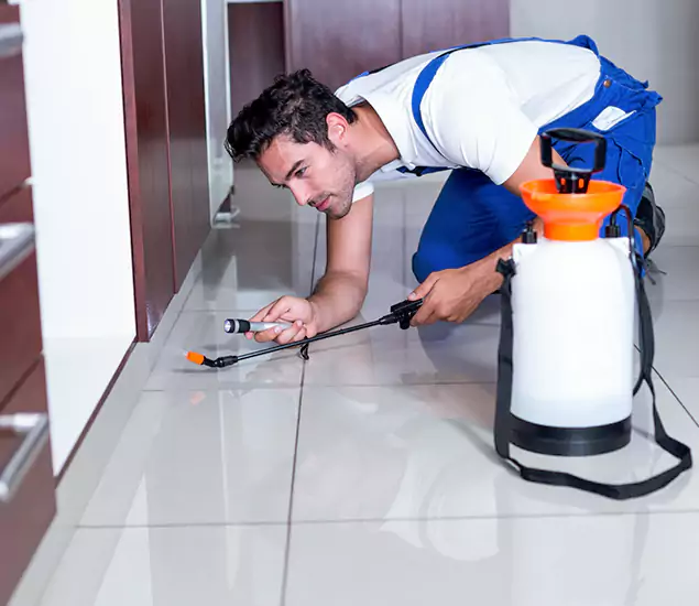Reliable Professional Mouse Removal: Your Best Mouse Control Company in Wayne, NJ
