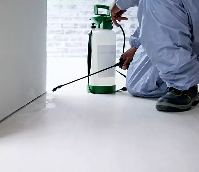 Affordable Pest Control Experts in Wayne, NJ