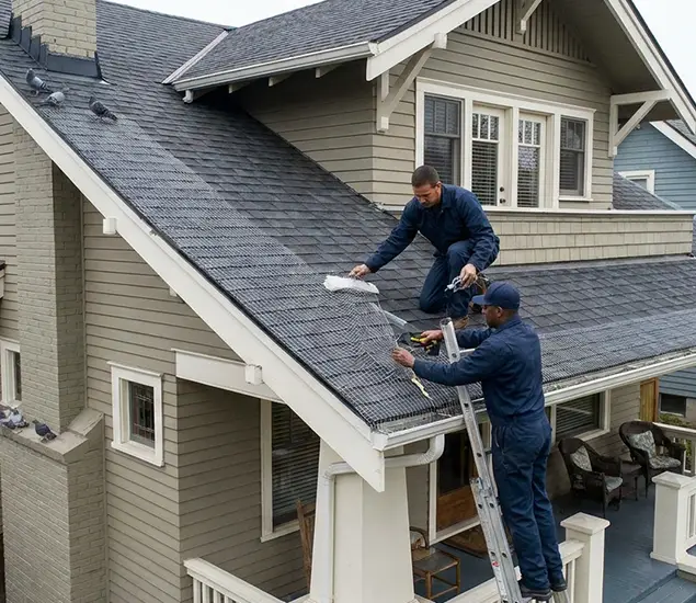 Your Pigeon Control Experts in Wayne, NJ