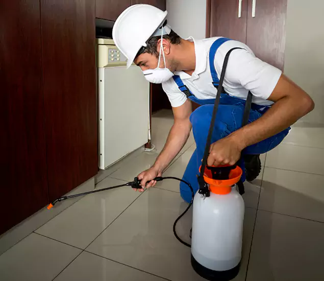 Advanced Termite Pre Treatment Experts in Wayne, NJ