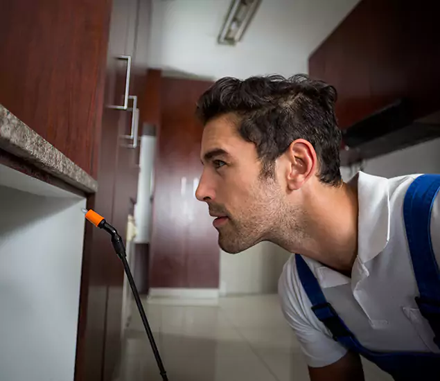 Expert Rodent in Attic Removal: Your Proven Pest Specialists in Wayne, NJ
